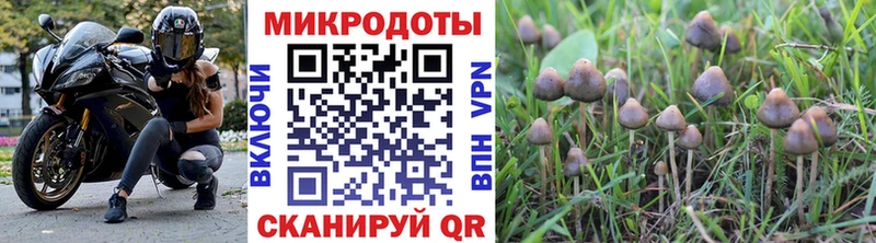 Псилоцибиновые грибы Magic Shrooms  Купить  Карачев 