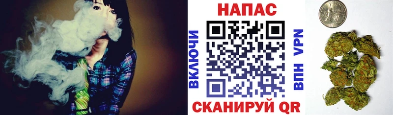 Шишки марихуана планчик Карачев
